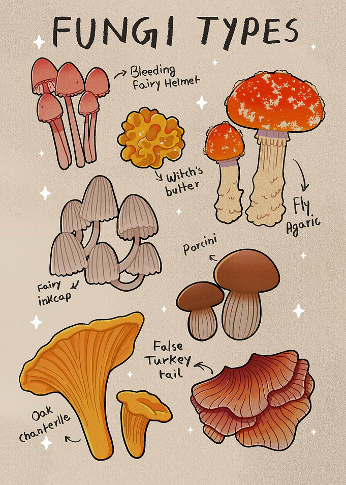 Fungi Types