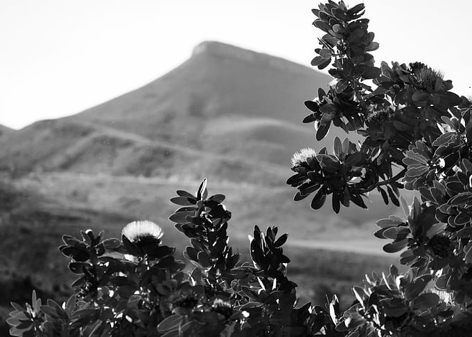 Black and White Mountain Landscape