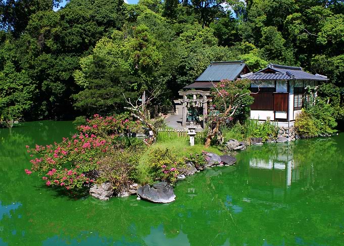 Japanese Garden and Shrine in Kyoto