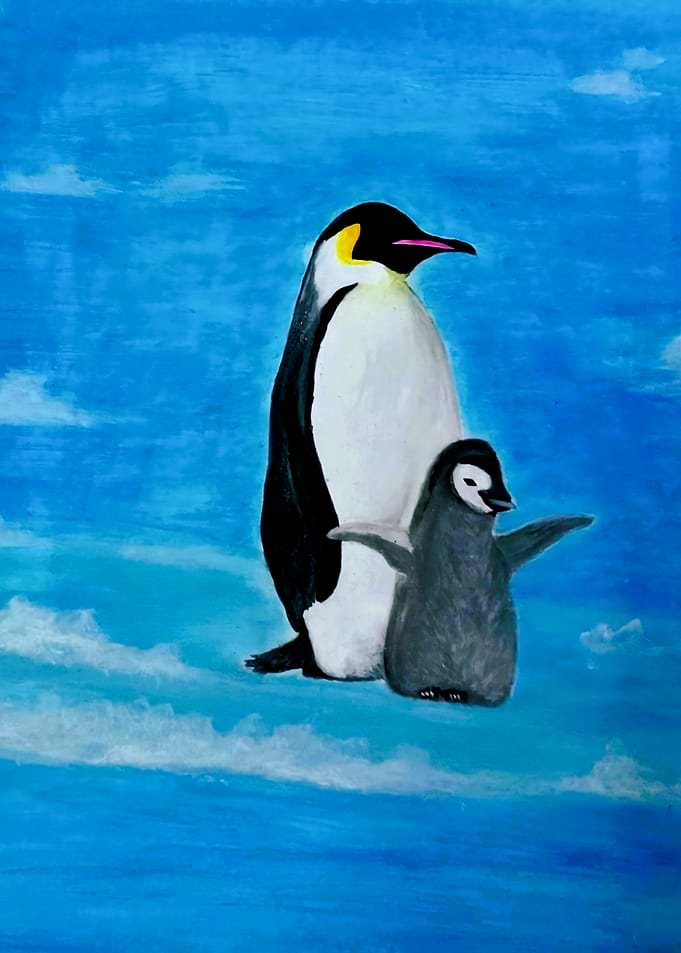 First Dive