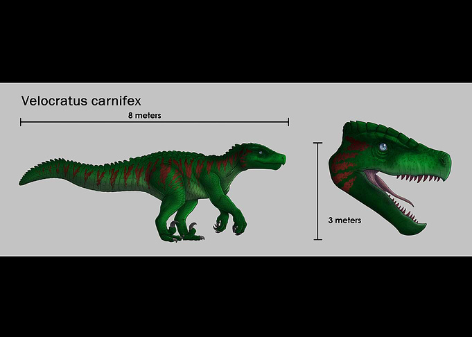 Velocratus carnifex