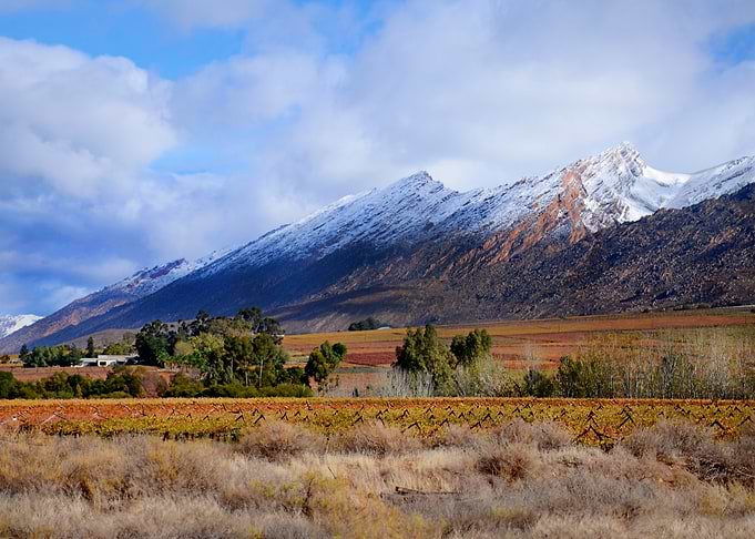 Autumn in The Hex River Valley