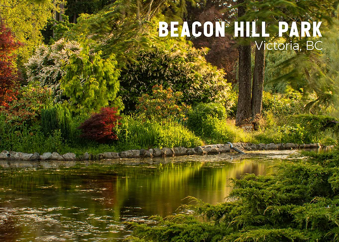 Beacon Hill Park, Victoria BC