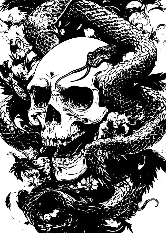 Skull and Snake Black and White Art