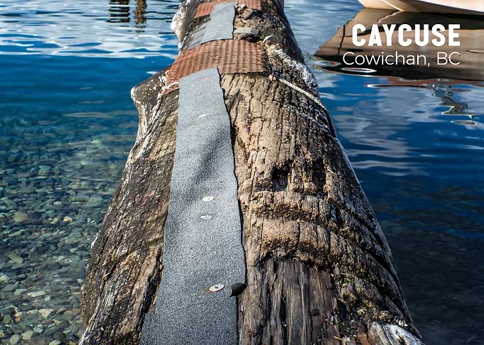 Caycuse Log in Cowichan, BC