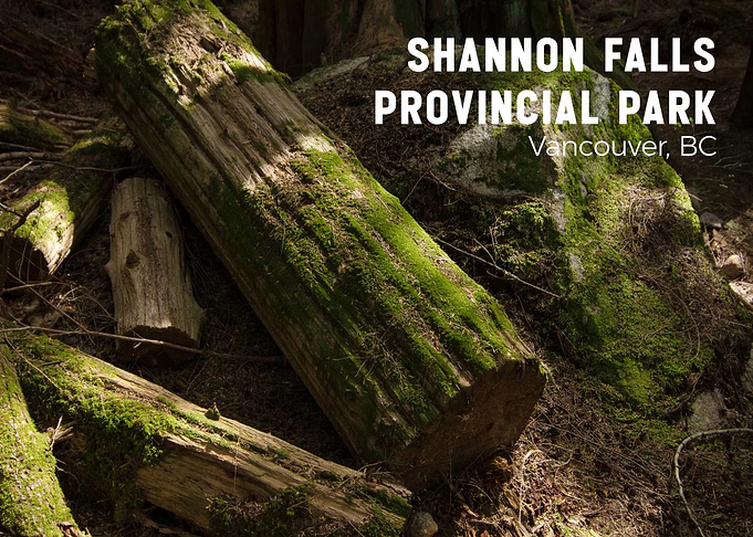 Shannon Falls Provincial Park Logs