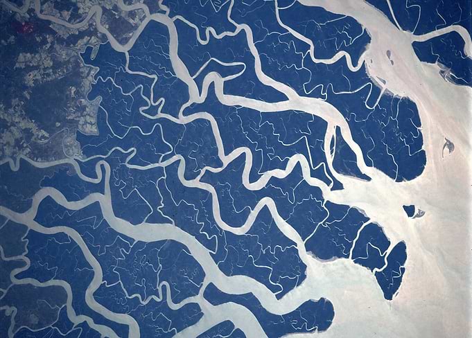 Dendritic Deltaic Waterways