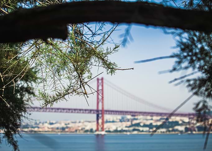 Red Bridge Through the Trees