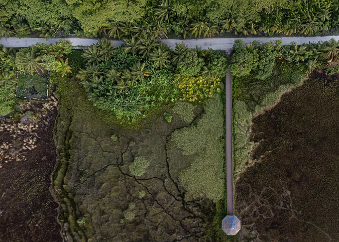 Aerial View of Tropical Landscape