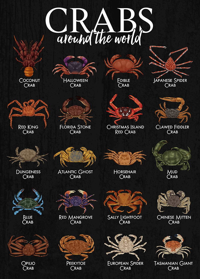 Crabs Around the World Illustration