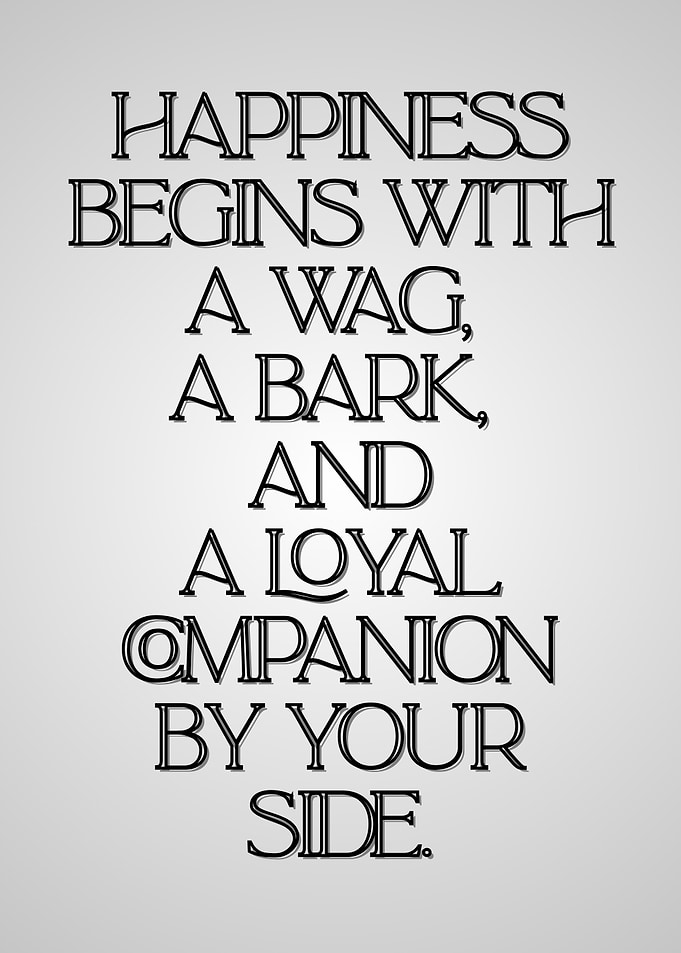 Happiness Begins With a Loyal Companion, pet love.