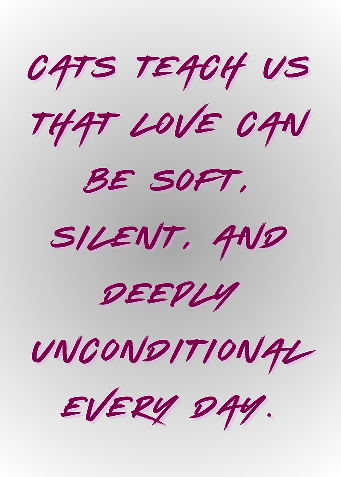 Cats Teach Us About Love, Pet Love.