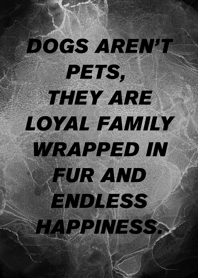 Dogs Aren't Pets, They Are Family, Pet Love.