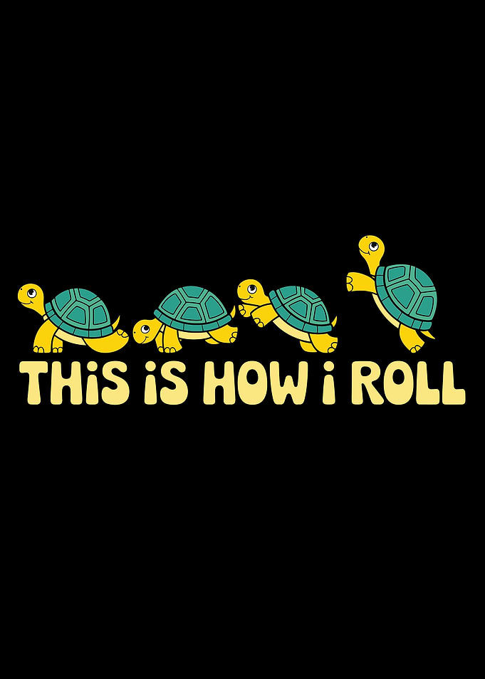 This is How I Roll Funny Turtles Art