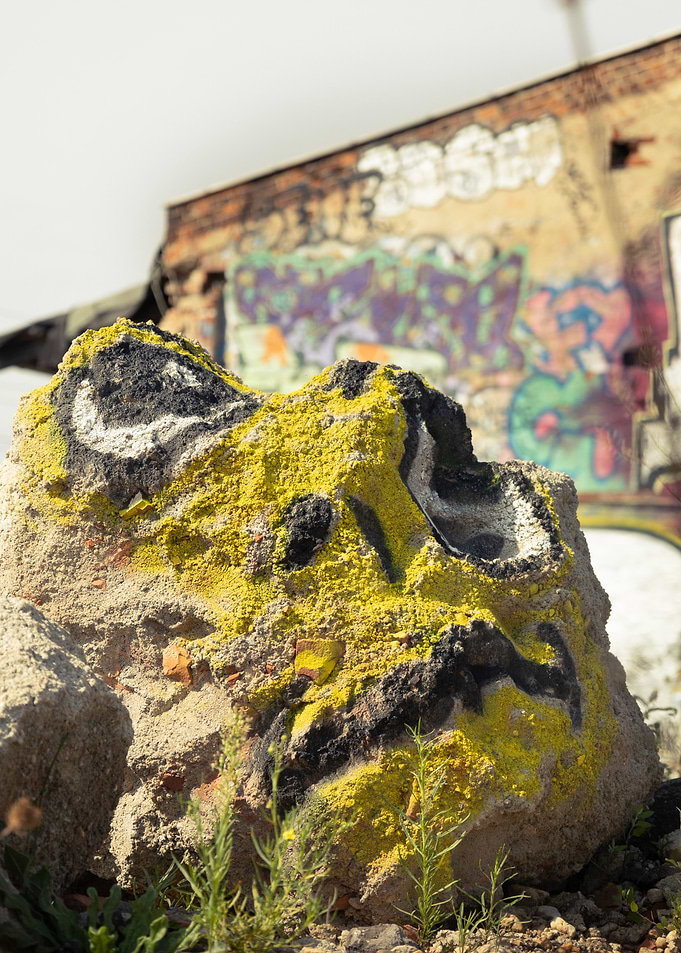 Graffiti Rock in Urban Decay
