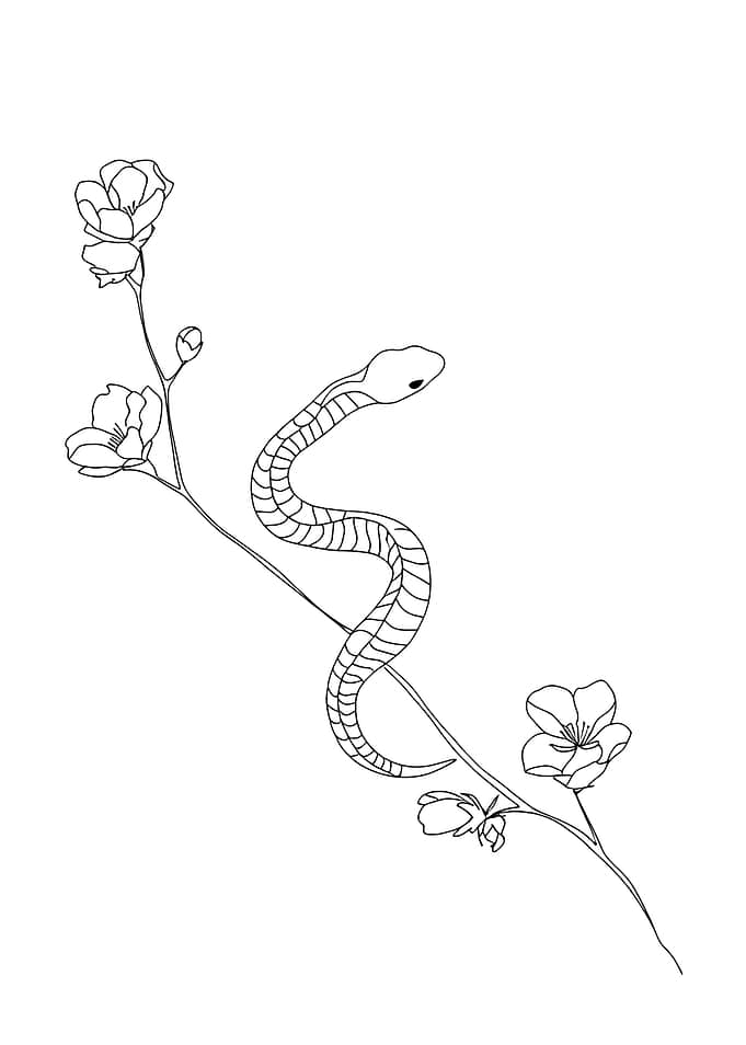 Snake and Flowers Minimalist Line Art