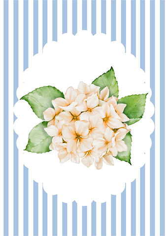 Hydrangea Bouquet on Striped Background