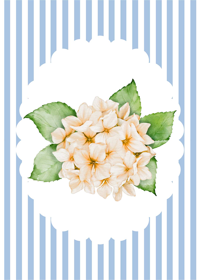 Hydrangea Bouquet on Striped Background