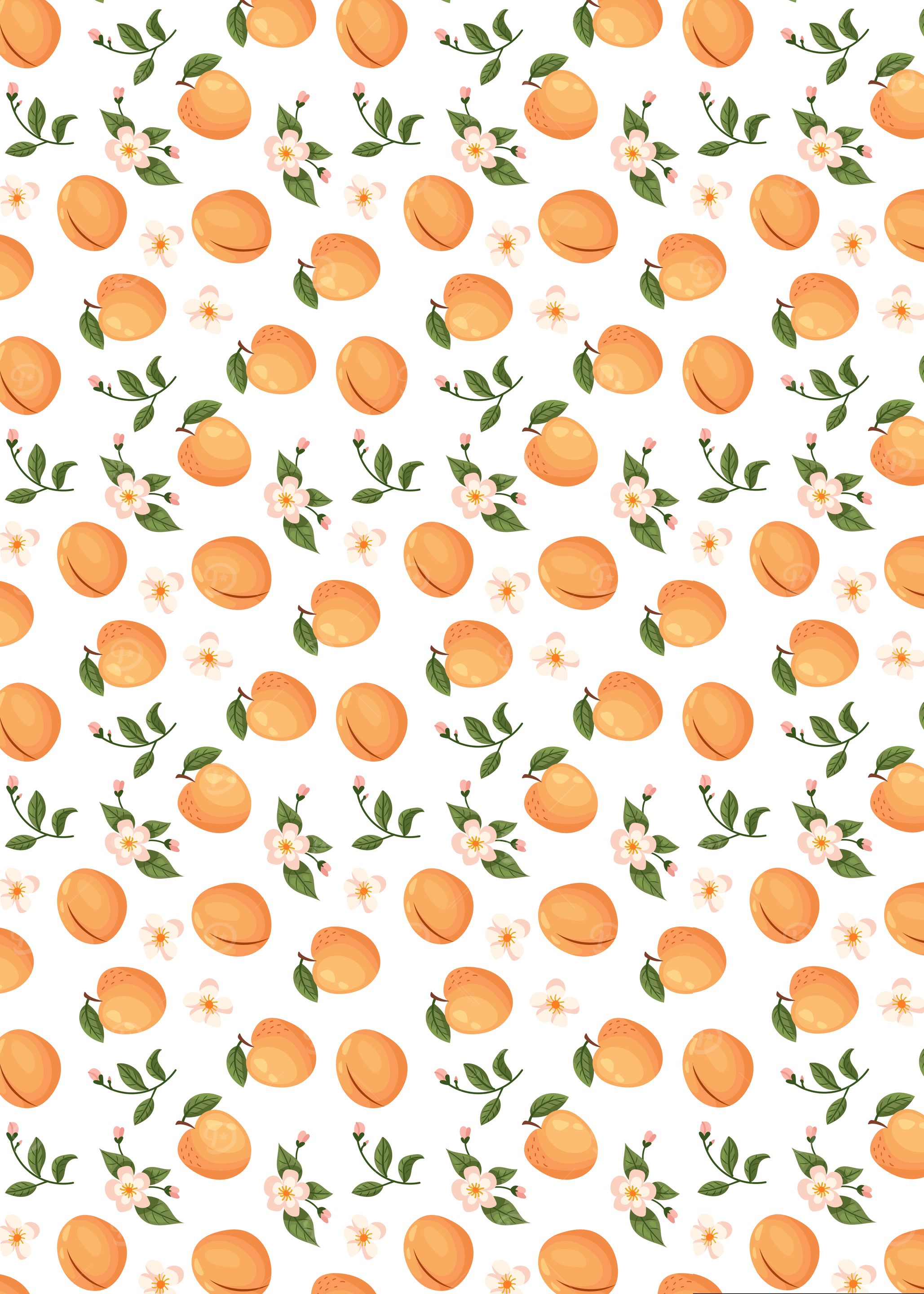 Apricot and Blossom Pattern