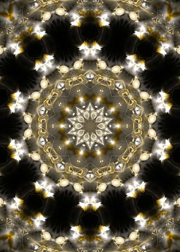 Crystal Vision