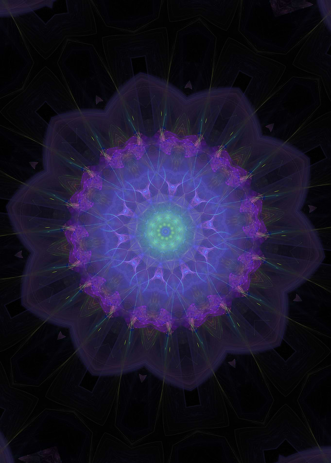 Violet Jelly