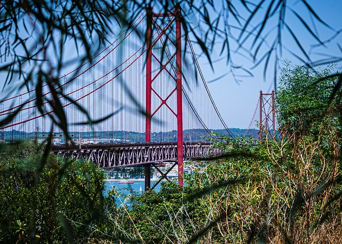 Red Bridge Through Greenery