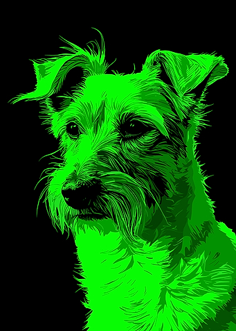 Green Dog Portrait on Black Background