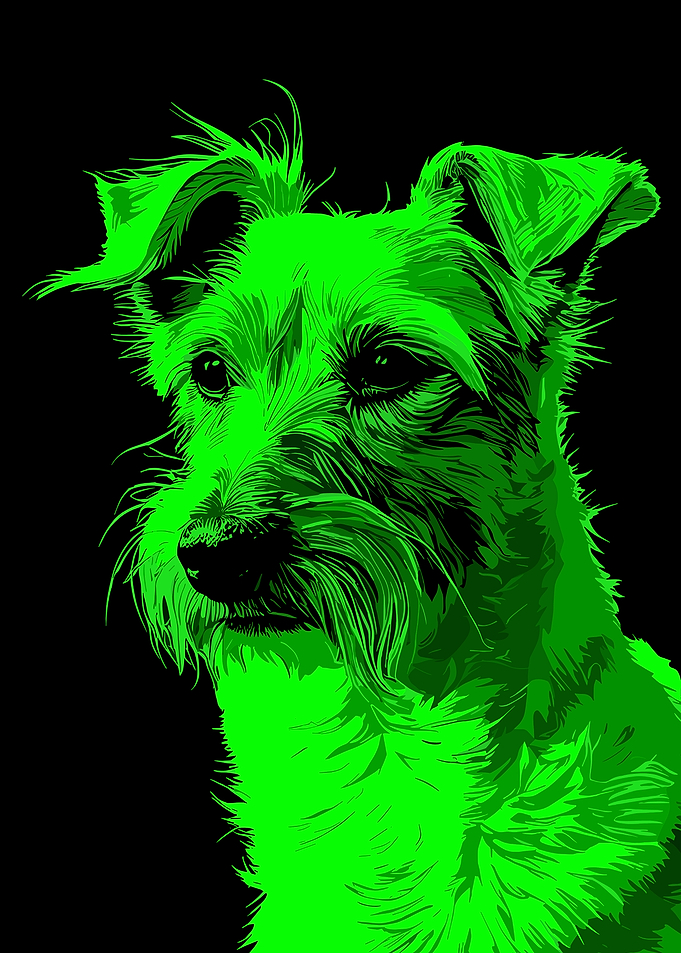 Green Dog Portrait on Black Background
