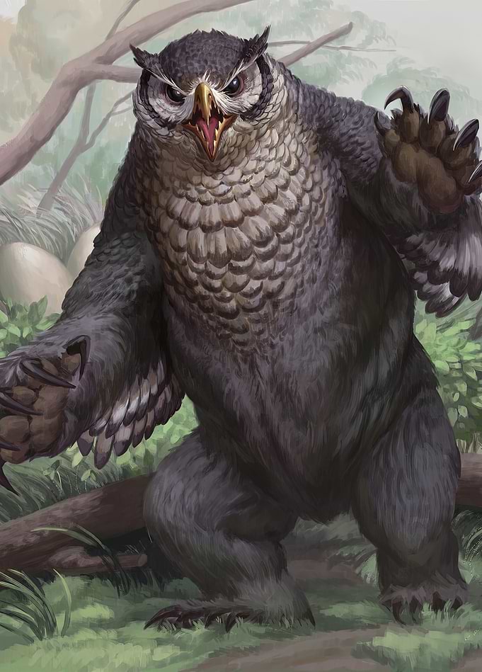The Owlbear
