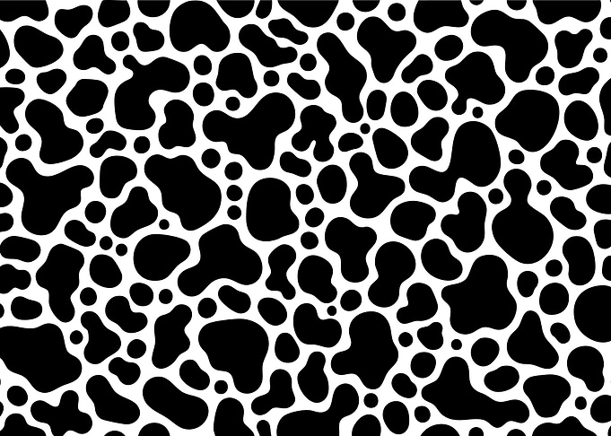 Black and White Cow Pattern