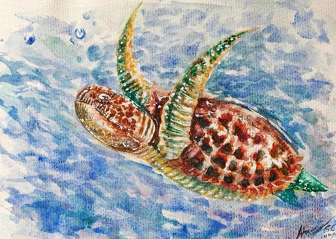 Watercolor Sea Turtle Swimming