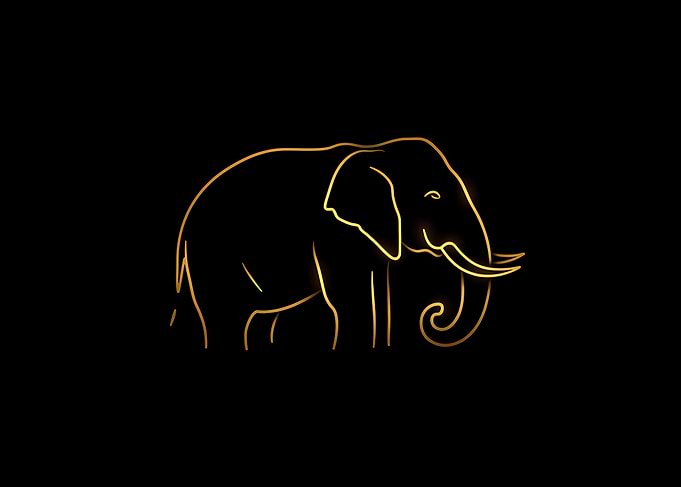 Golden Elephant Outline on Black Background Minimalist Animals Lovers