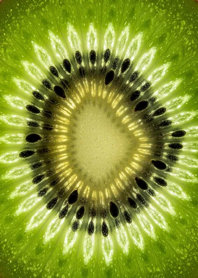 Kiwi Fruit Slice Close-Up