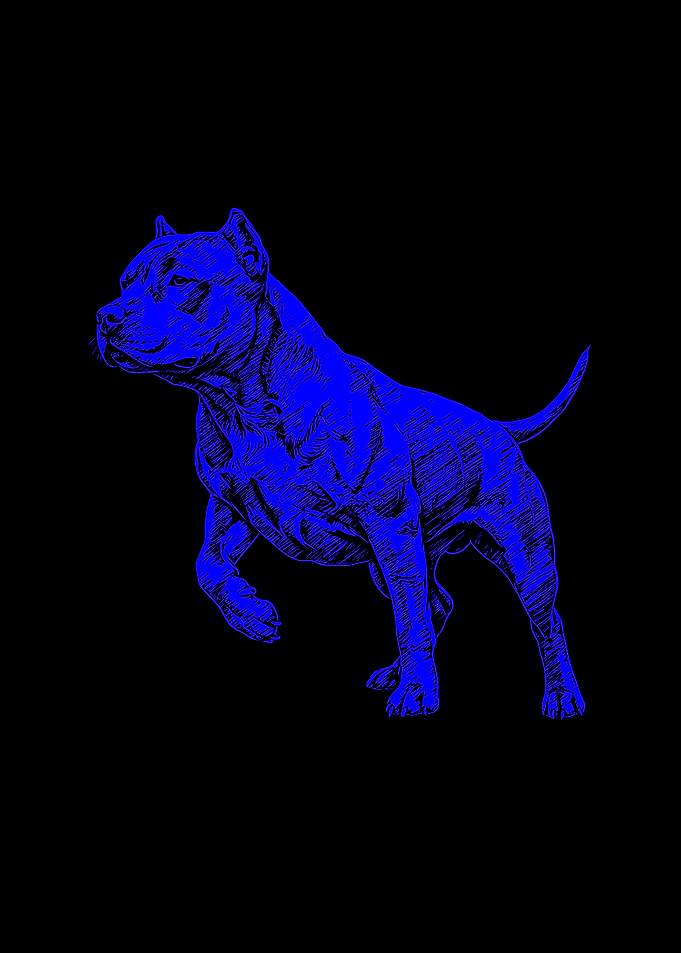 Blue Pitbull Sketch on Black Background