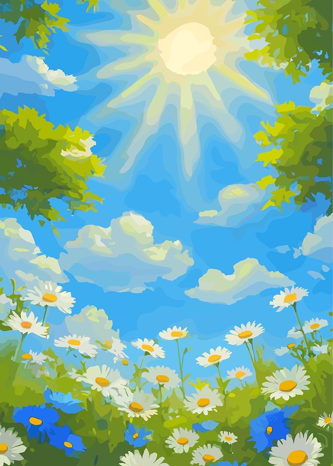 Daisy Field Under Sunny Sky