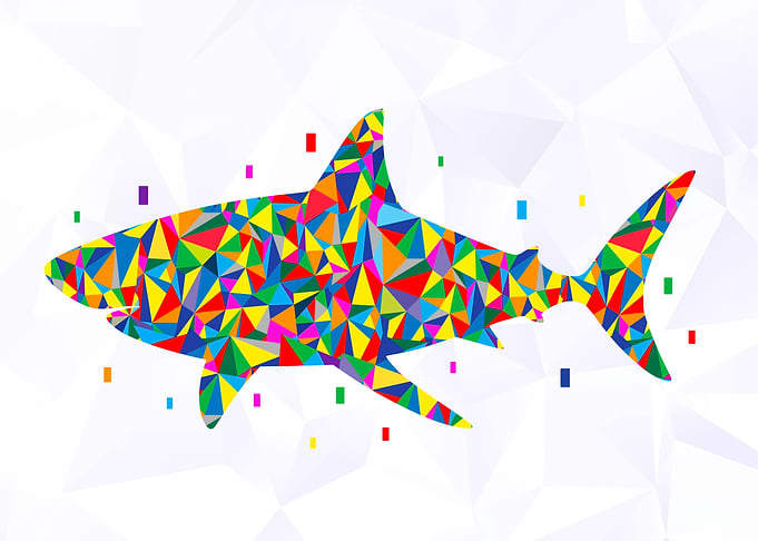Shark Colorful Geometric