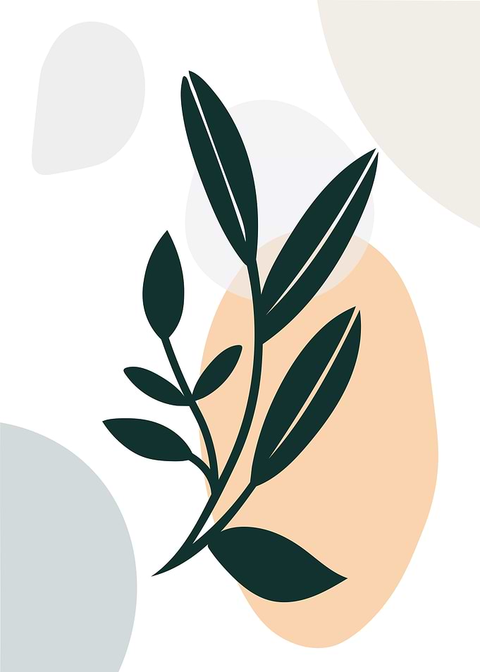Minimalist Botanical Illustration with Abstract Shapes