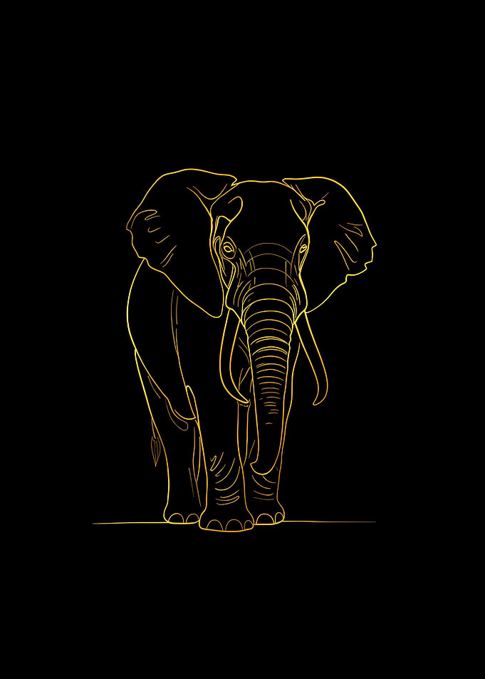 Golden Elephant Line Art on Black