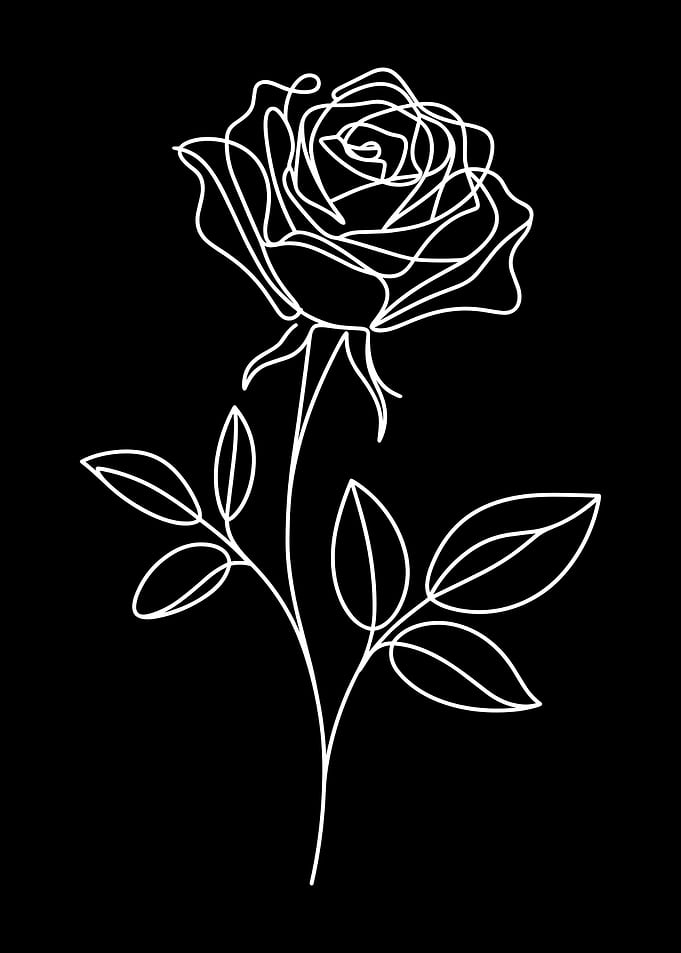 White Line Art Rose on Black