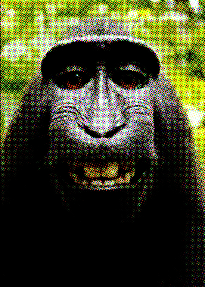 Smiling Monkey Close-Up