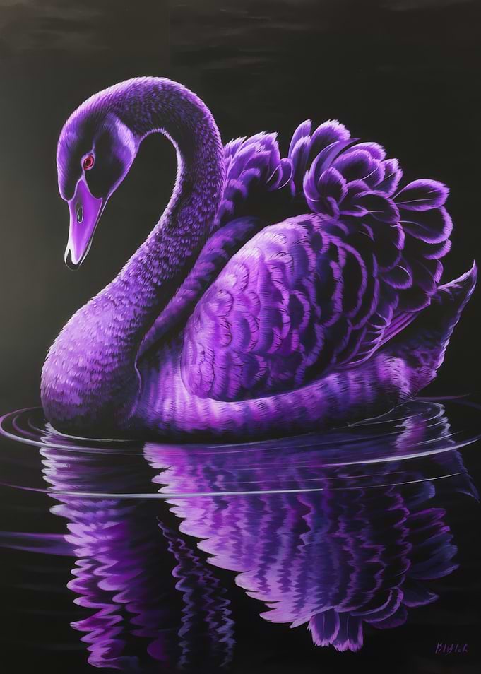 Purple Swan in Water Reflection