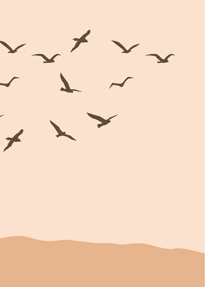 Birds Flying Over Land Illustration
