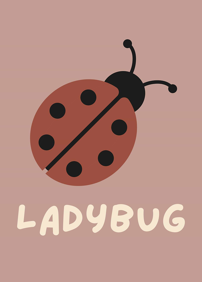 Cute Ladybug Illustration