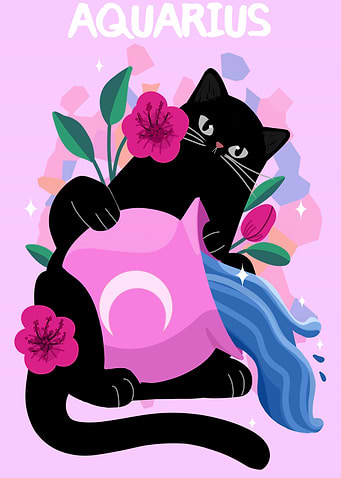 Aquarius – The Zodiac Black Cat Series