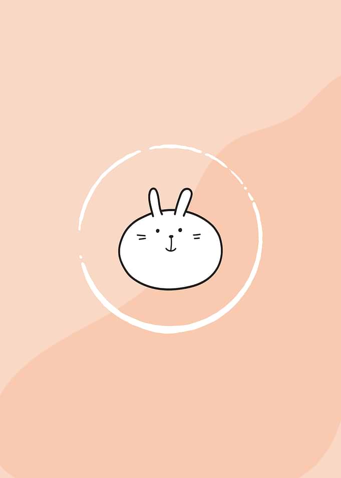 Cute Bunny Illustration on Peach Background