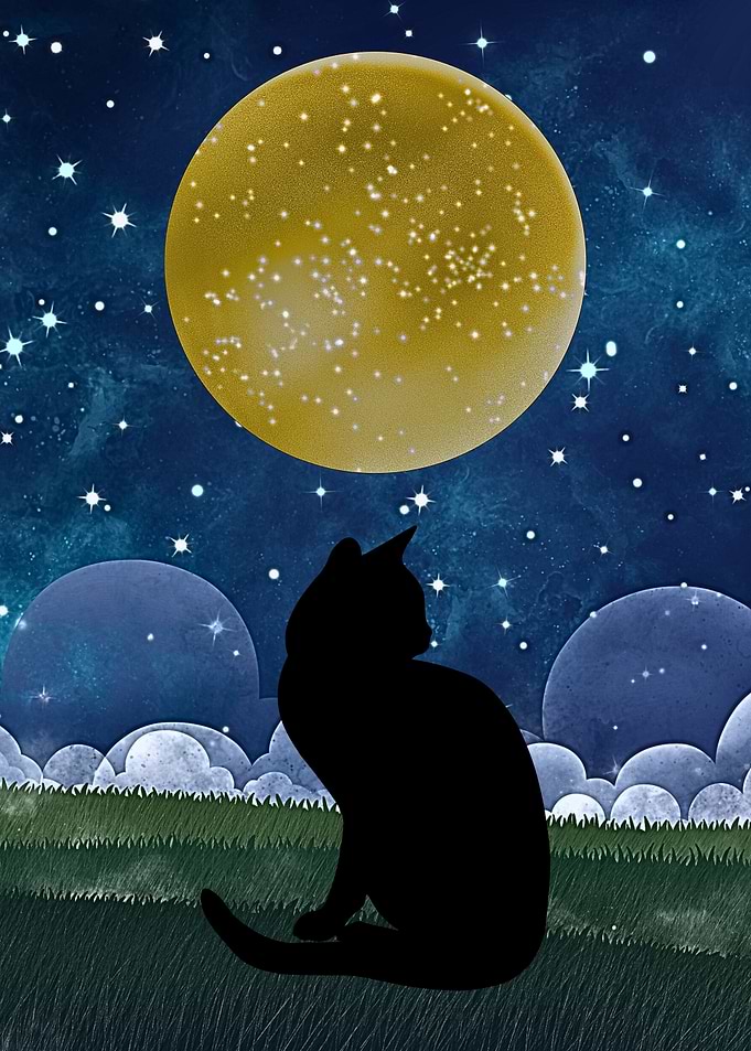 Black Cat Under the Moon