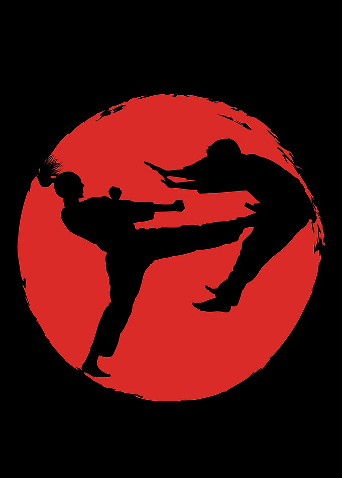 Martial Arts Silhouette with Red Sun