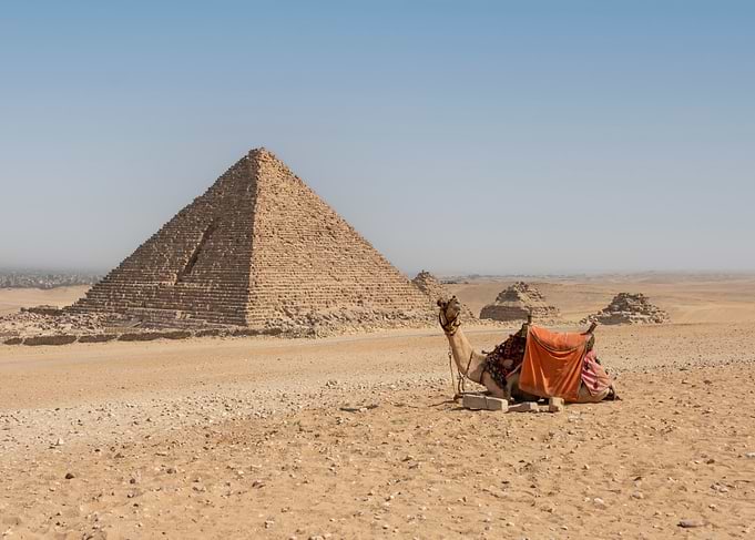 Camel and Pyramid in Egyptian Desert