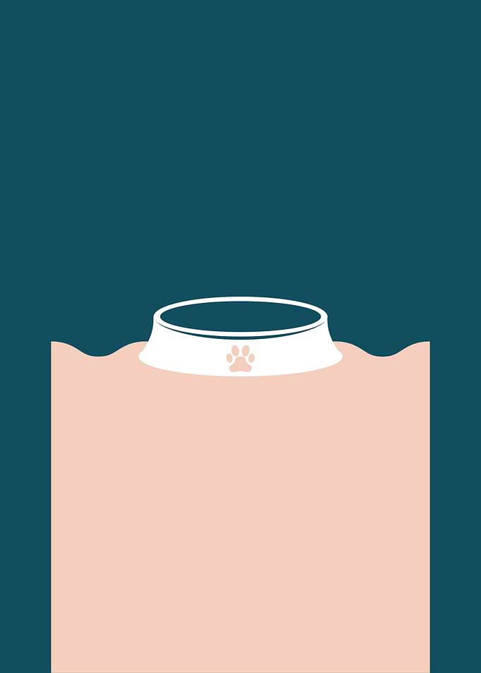 Minimalist Pet Bowl Illustration