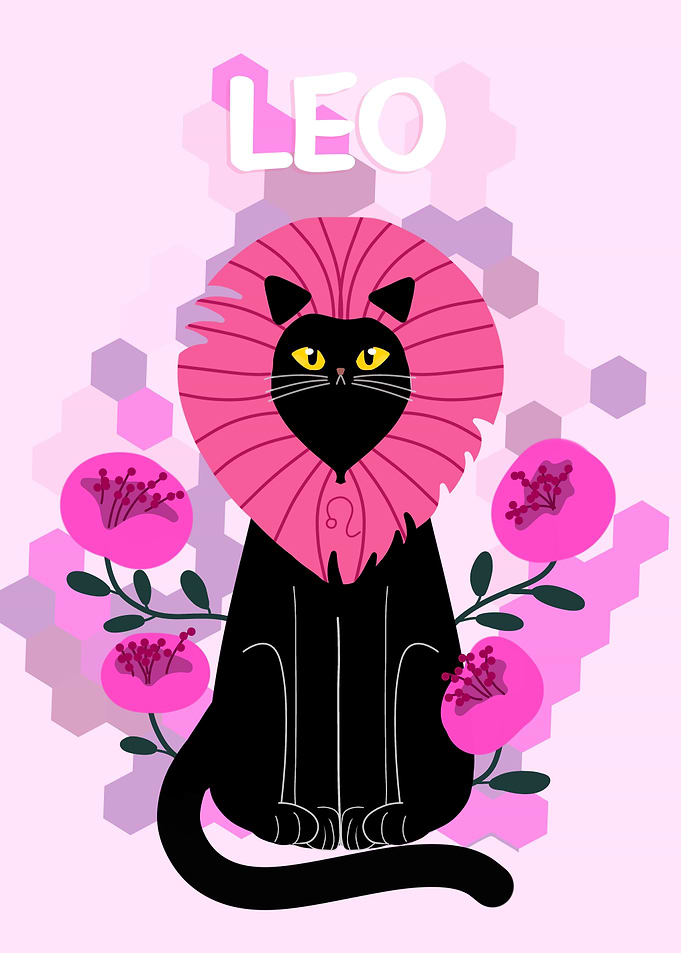 Leo – The Zodiac Black Cat Series